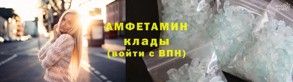 ПСИЛОЦИБИНОВЫЕ ГРИБЫ Осинники