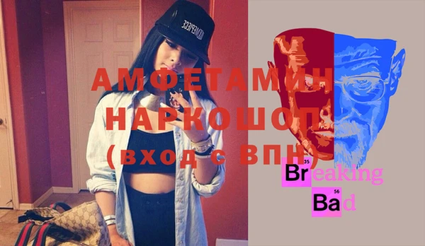 ПСИЛОЦИБИНОВЫЕ ГРИБЫ Осинники