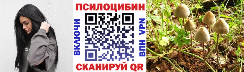 Купить закладки  Нижний Тагил  Псилоцибиновые грибы Cubensis 
